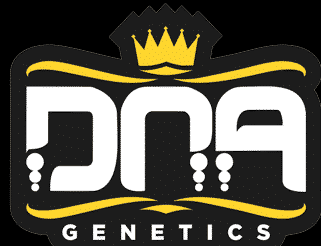 Dna Genetics - Choco Mintz Live Resin Redemption Botanicles