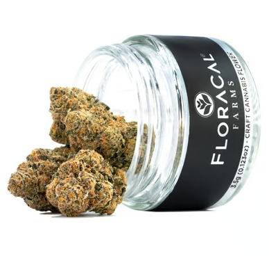 Floracal - Morning Dew Cresco