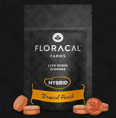 Floracal - Tropical Punch Cresco