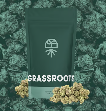 Papaya Drip #7 Grassroots