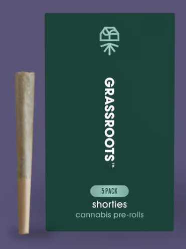 Shorties- Triple Stack- 2 Pack Grassroots