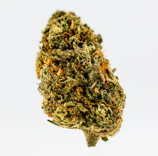 Cannabis Promo, Cannabis Sales, Cannabis Discounts, Cannabis on Sale, Revolution 3