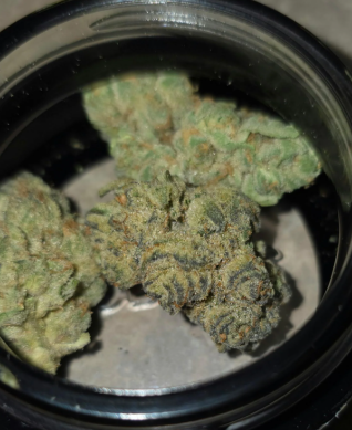 Redemption - Stardawg Ix Redemption Botanicles