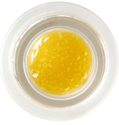 Spicy Dunker Jam Revolution