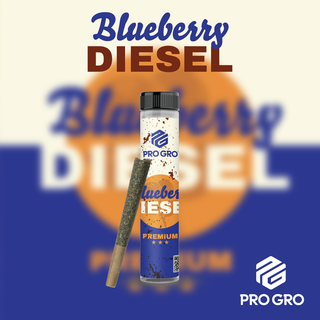 Blueberry Diesel Pro Gro