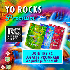 YO Rocks