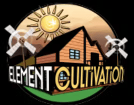 Block Berry Element Cultivation