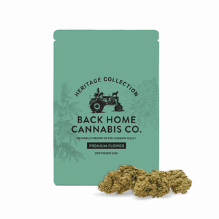 Back Home Jack Herer Back Home Cannabis