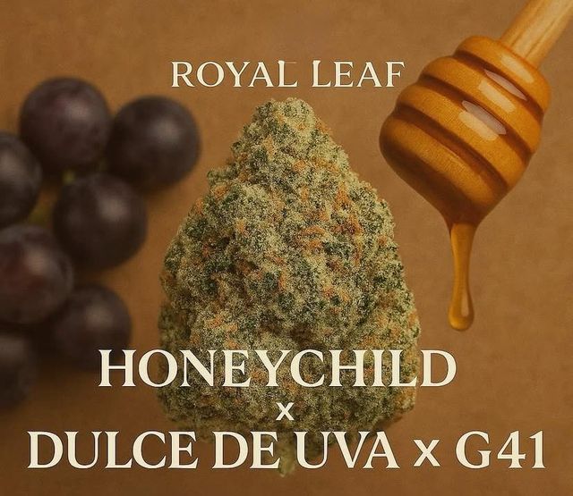 Honey Child Royal Leaf