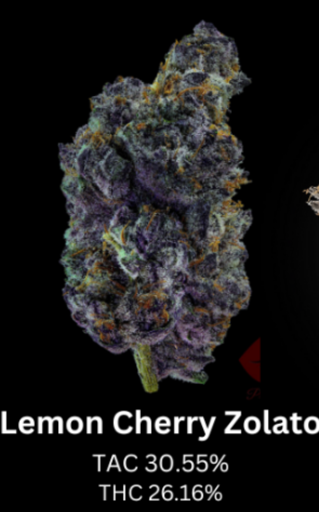 Lemon Cherry Zolato Priscilla's Garden