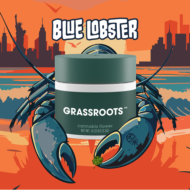 Blue Lobster Grassroots