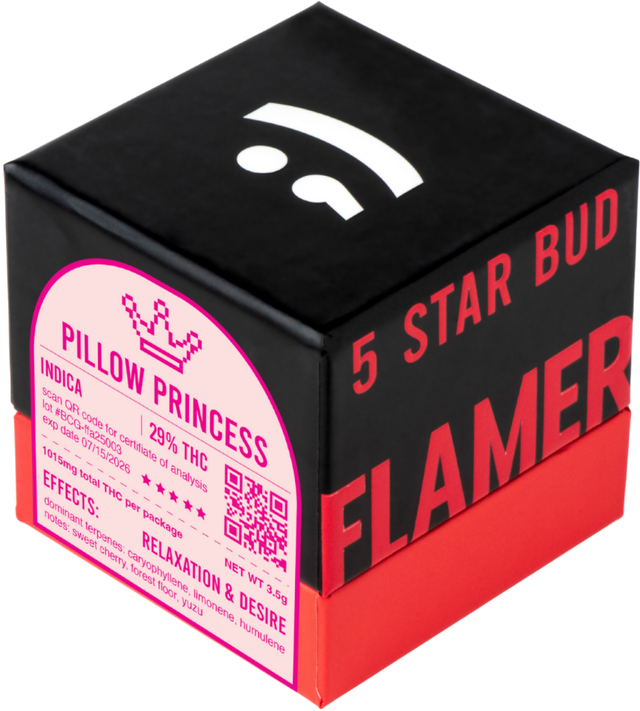 Pillow Princess Flamer