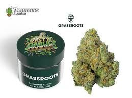 Zesty Garlic Cookies Grassroots