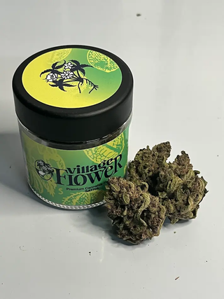 Village Trop Cherry Microgrow Village Flower
