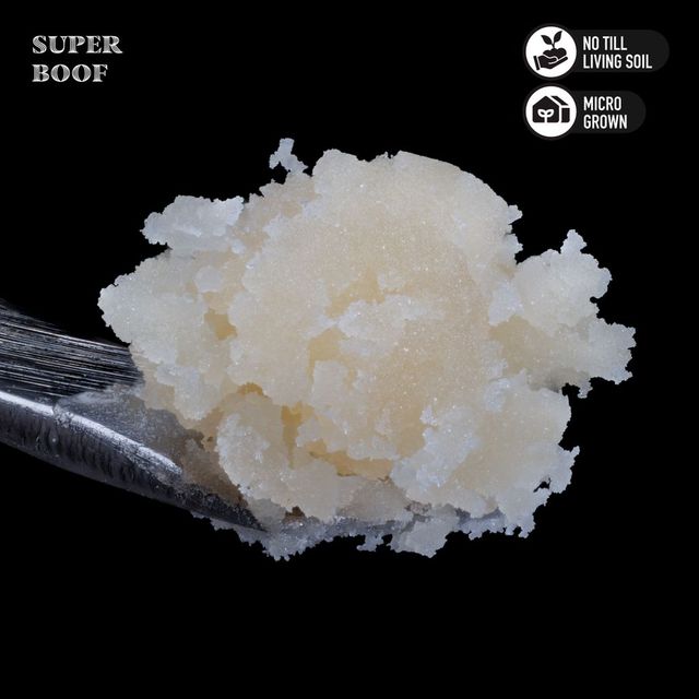 Super Boof Jar Royal Genetics