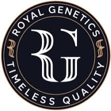 Peanut Butter Breath Royal Genetics