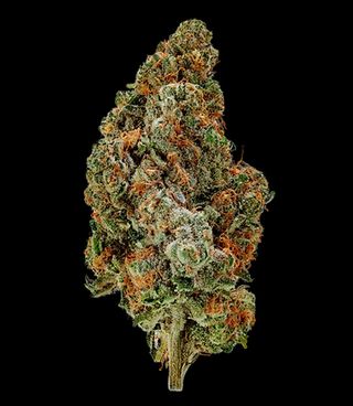 Cannabis Promo, Cannabis Sales, Cannabis Discounts, Cannabis on Sale, Glass Meadows 30% 1