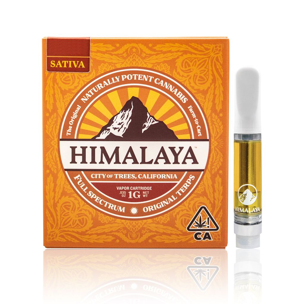 Himalaya: Amnesia