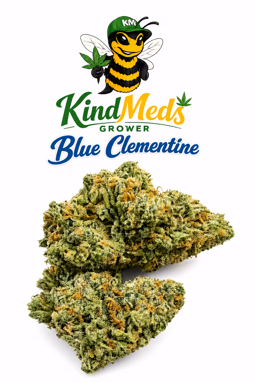 I Blue Clementine I Deli Bud I Mother Brands
