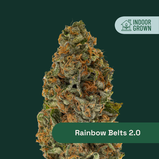 Rainbow Belts 2.0 The Botanist