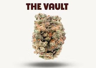  Kashmere Kush  The Vault