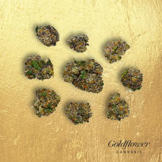 Cherry Ripper Goldflower