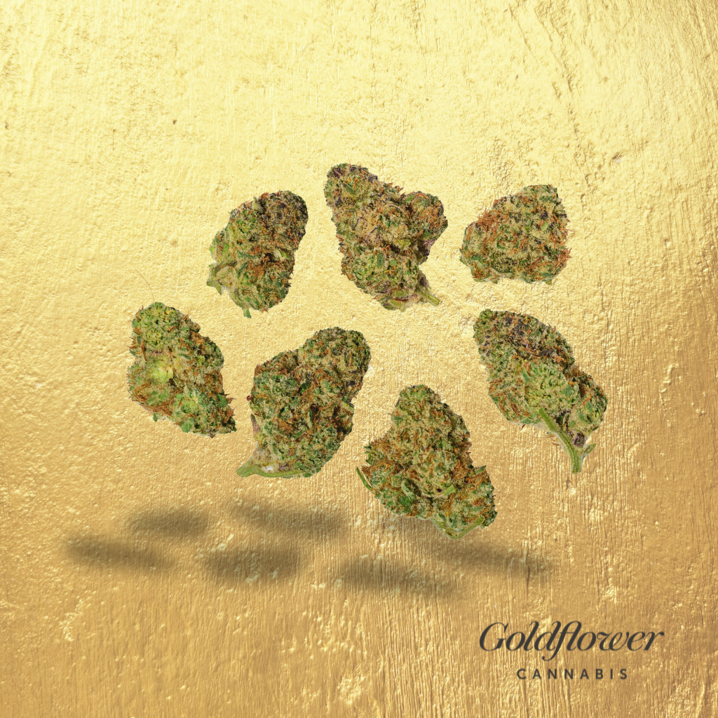 Gorilla Glue #4