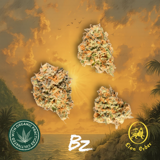 Gully Kush BZ by Lion Order