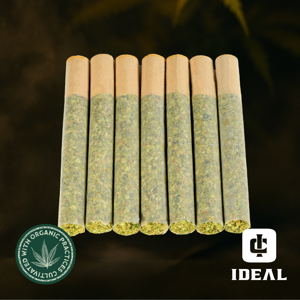 Buy Grapefruit Cookies 1g [7 Pack] Premium Whole Flower Pre-Rolls online -  Goldflower Tampa | Tampa