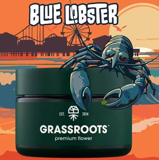 Blue Lobster Grassroots