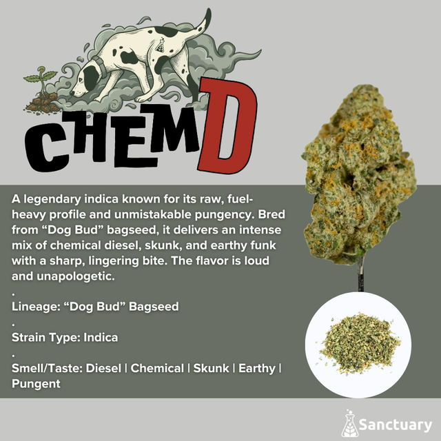 Chem D Sanctuary