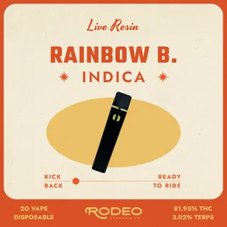 Rainbow Belts Resin