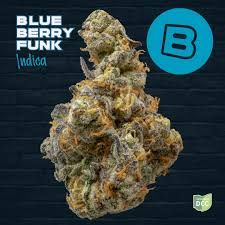 Blueberry Funk Buckeye Relief