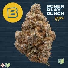 Buckeye Powerplay Punch Buckeye Relief
