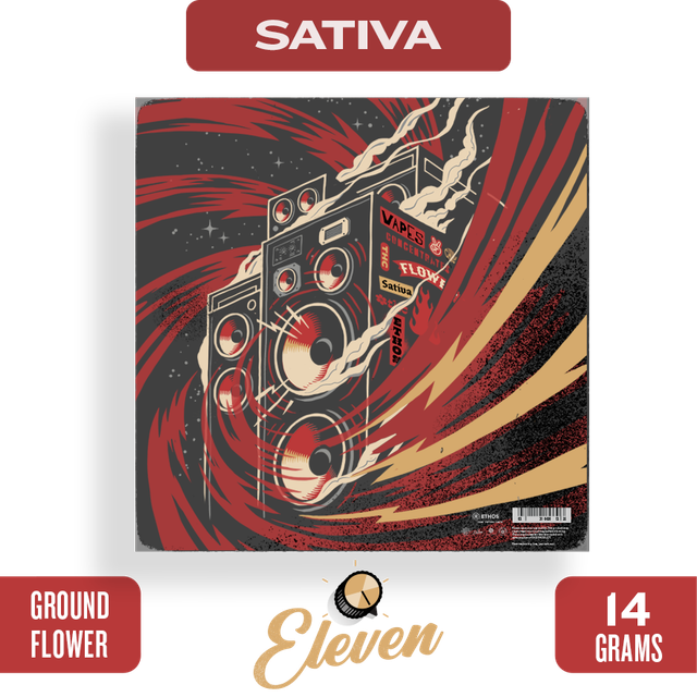 Pura Vida Eleven