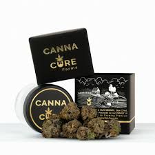 Blue Zushi Canna Cure