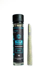 Blue Dream Dank