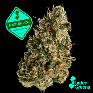Blue Limeade Garden Greens