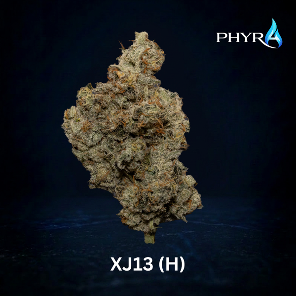 XJ-13 Phyra