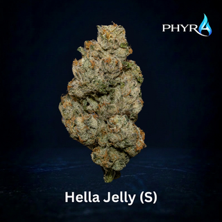 Hella Jelly Phyra