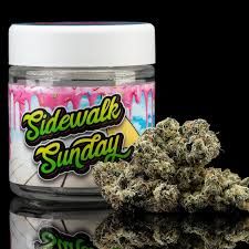 Sidewalk Sunday Turtle Pie Co.