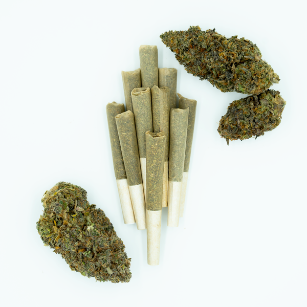 Grasslandz Glue 31 - 10ct Mini Pre-Roll 0.35g