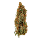 Super Lemon Haze Glass Meadows Super Lemon Haze Glass Meadows