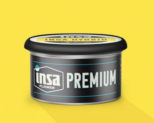 Blue Dream Insa