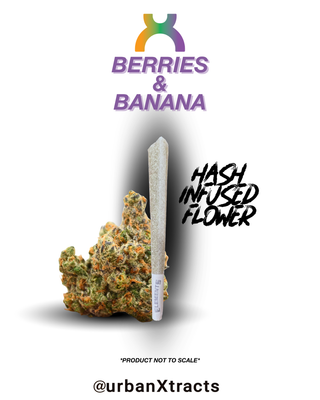 Berries & Bananas urbanXtracts