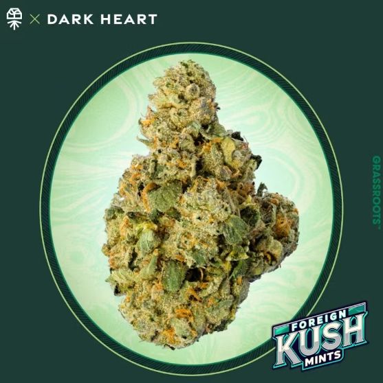 Foreign Kush Mints Grassroots Foreign Kush Mints Grassroots