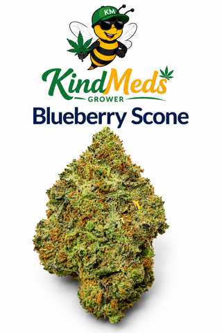 I Blueberry Scones I Deli Flower Mother Brands
