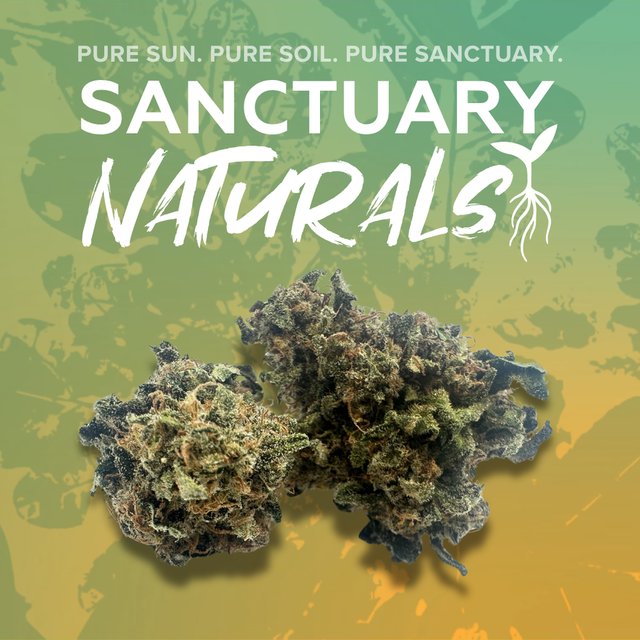 Gas Light Sanctuary Cannabis Gas Light Sanctuary Cannabis