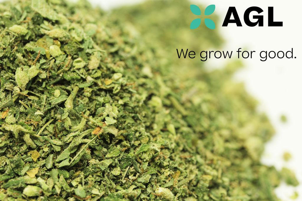 Animal Scout