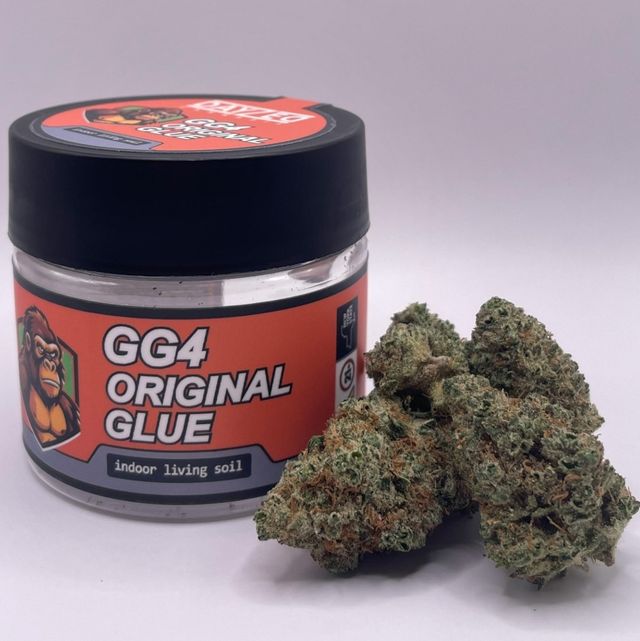 GG4 Original Glue Dayzed